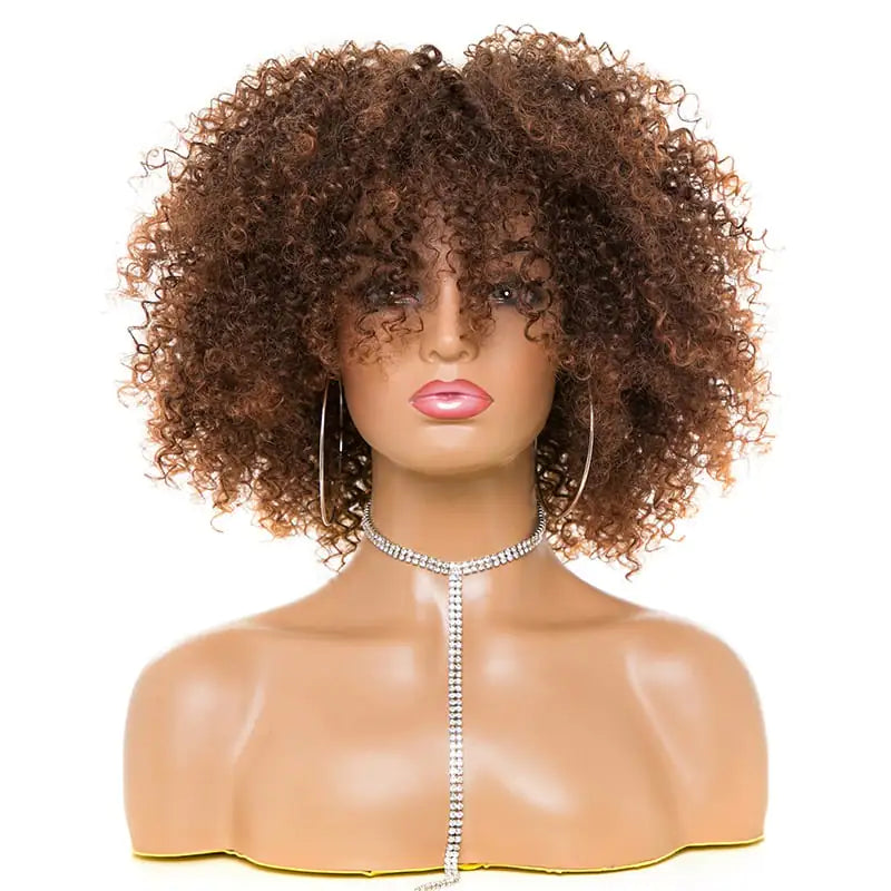 Chic Afro Kinky Curly Wigs