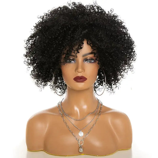 Chic Afro Kinky Curly Wigs