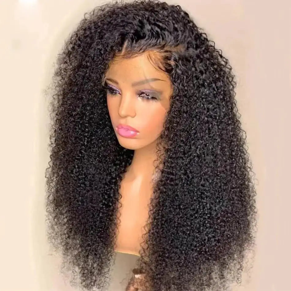 Curly Chic Lace Front Wig